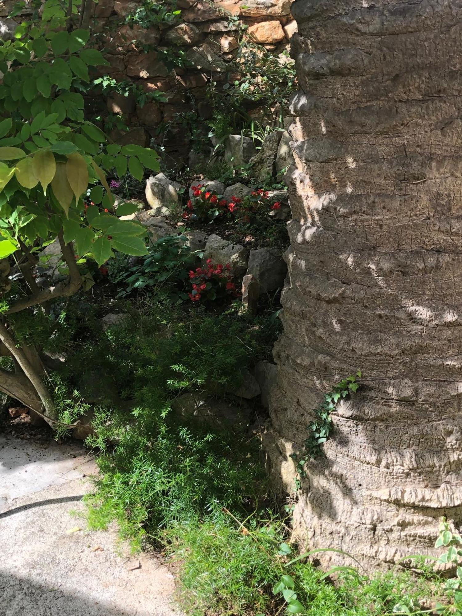 Apartments Veli Lošinj Dış mekan fotoğraf