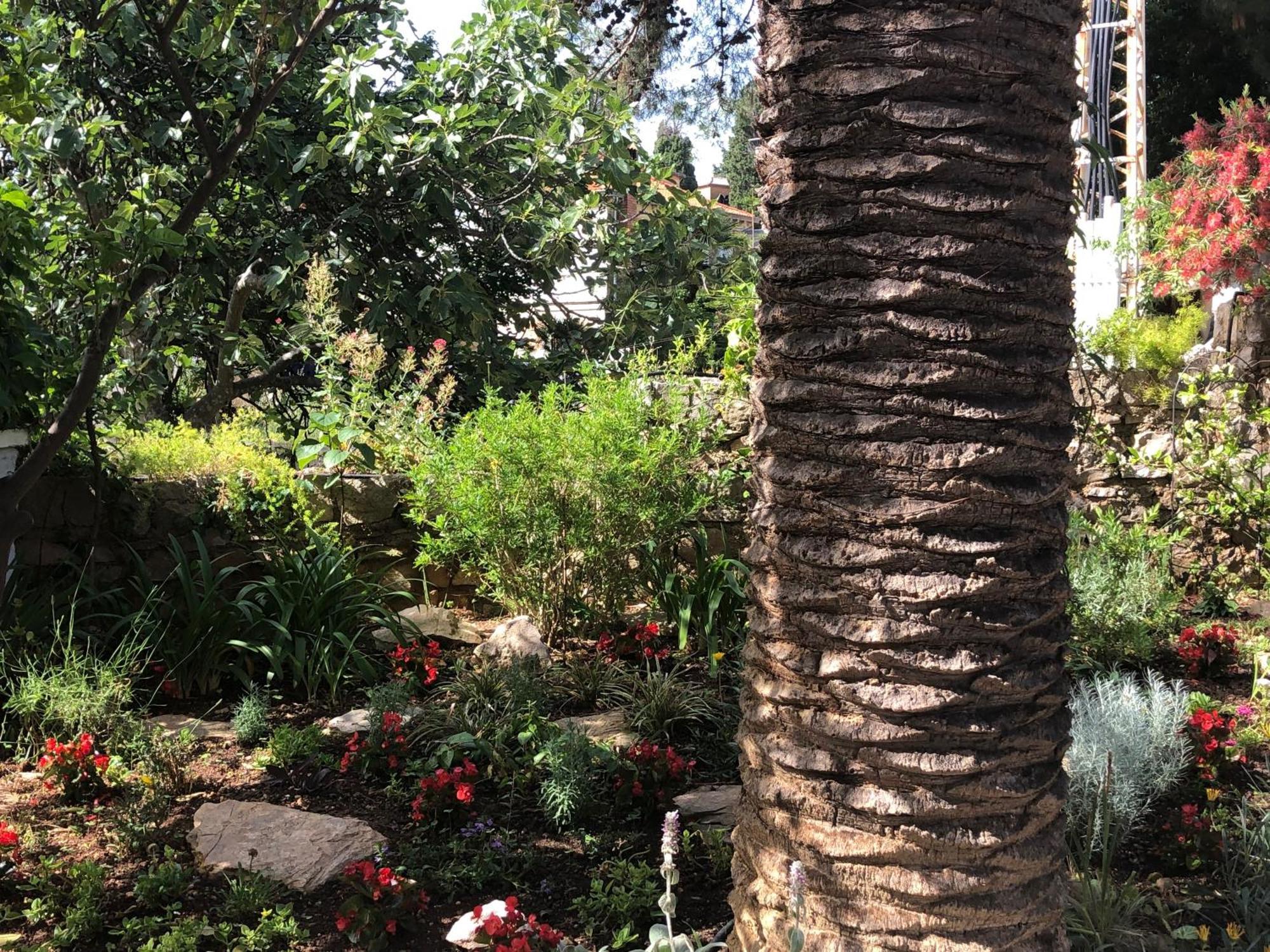 Apartments Veli Lošinj Dış mekan fotoğraf