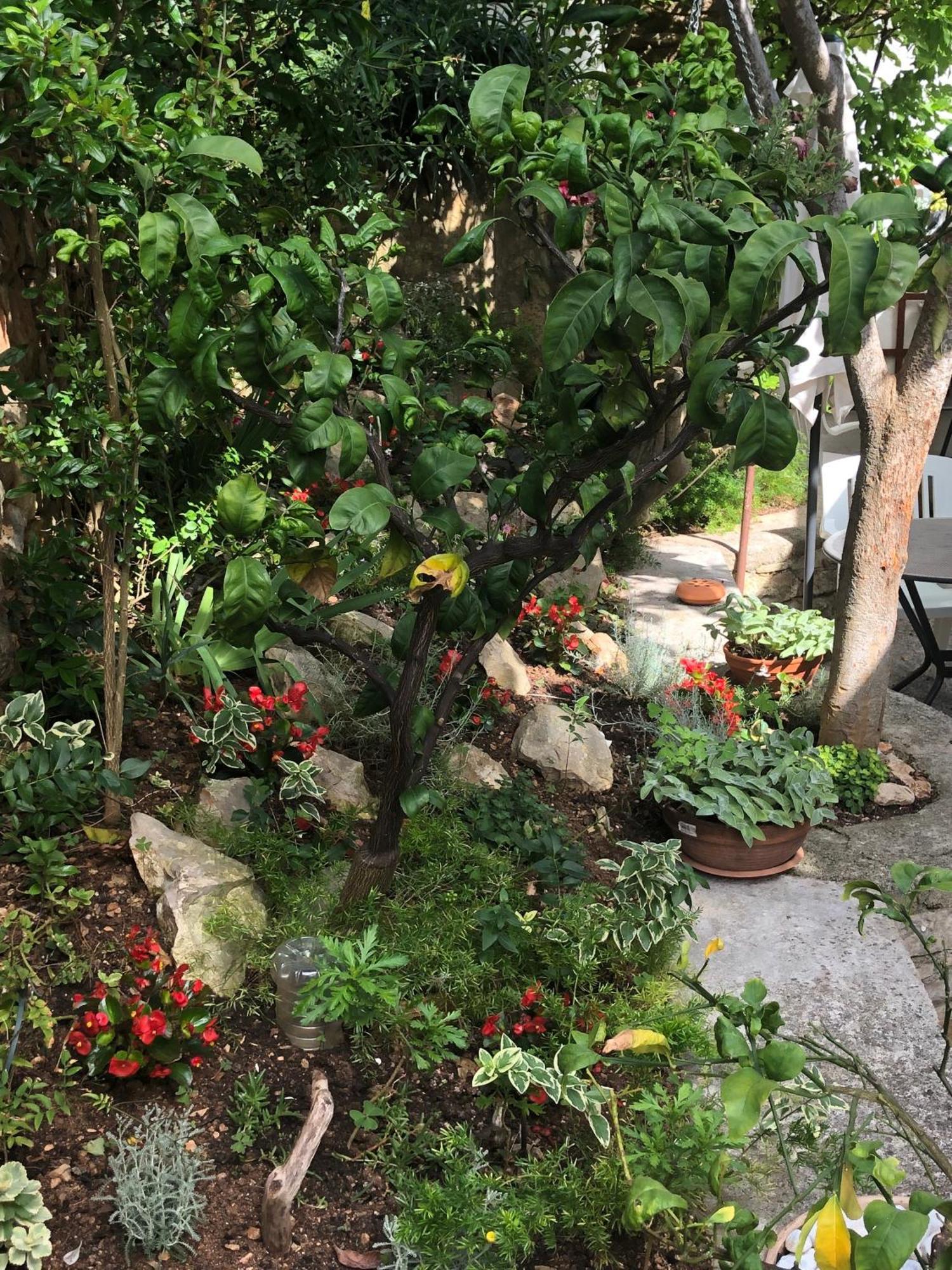 Apartments Veli Lošinj Dış mekan fotoğraf