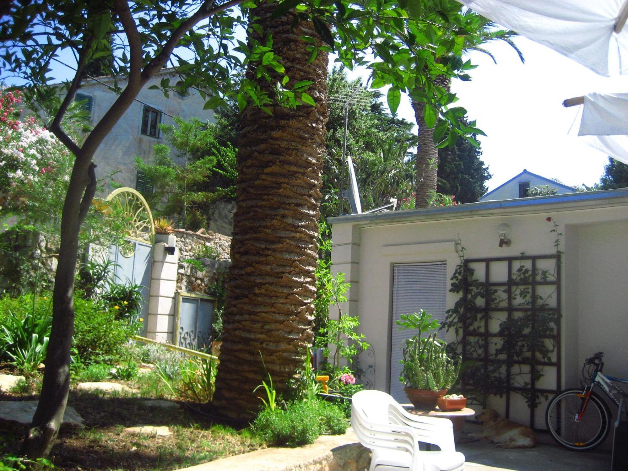 Apartments Veli Lošinj Dış mekan fotoğraf