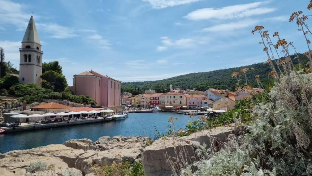 Apartments Veli Lošinj Dış mekan fotoğraf